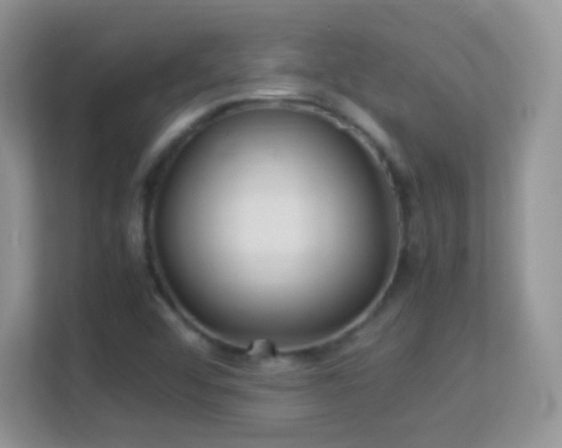 X0000113541456200909250916