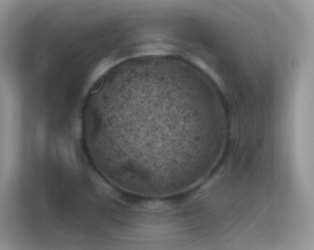 X0000113541459200909250916
