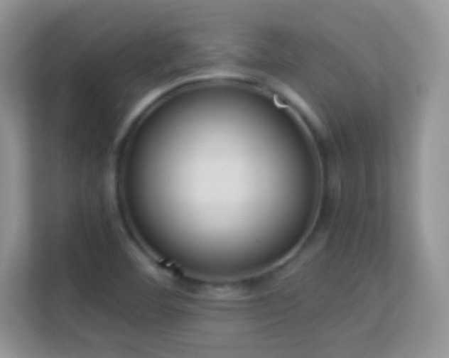X0000113541460200909250916
