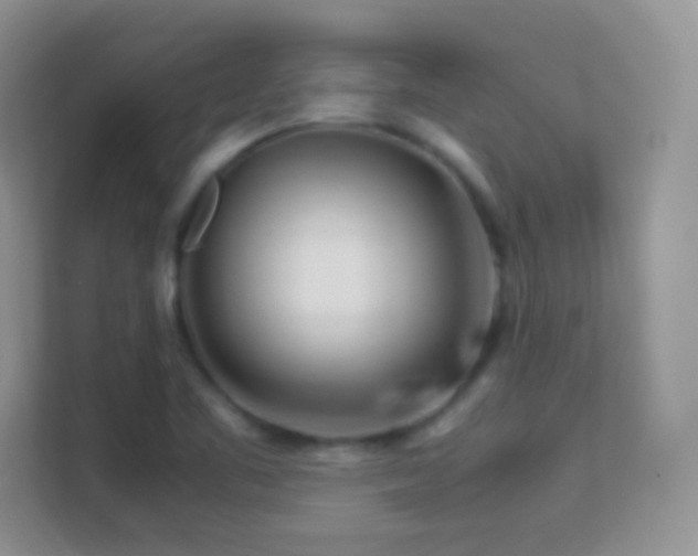 X0000113541461200909250916