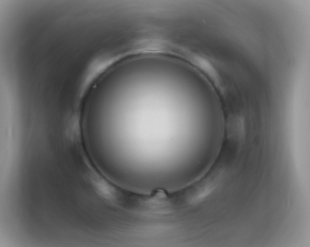 X0000113541464200909250916