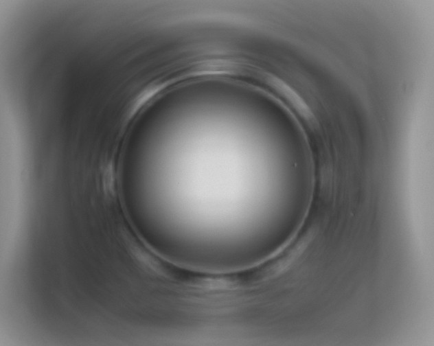X0000113541465200909250916
