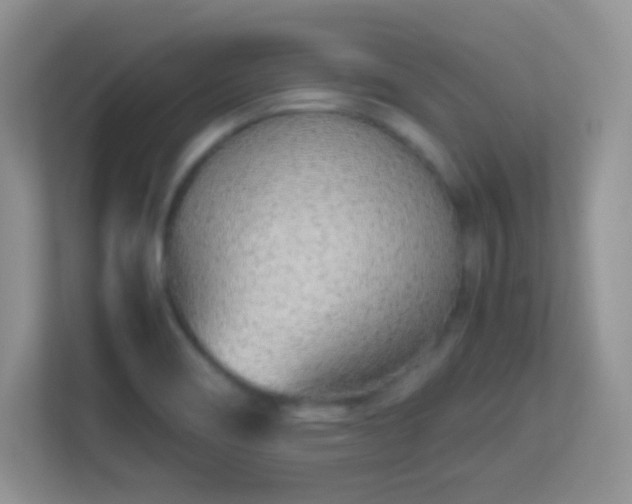 X0000113541466200909250916
