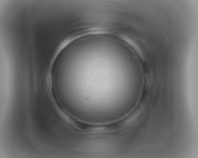 X0000113541467200909250916