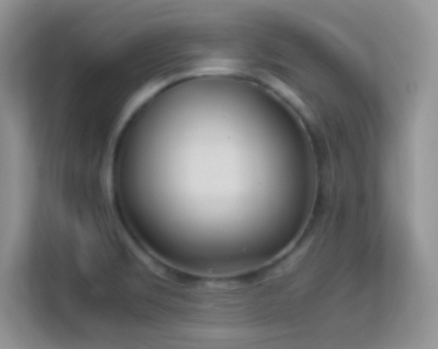 X0000113541469200909250916