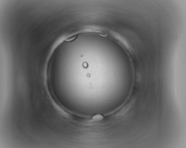 X0000113541471200909250916