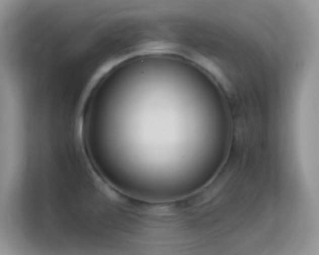 X0000113541472200909250916