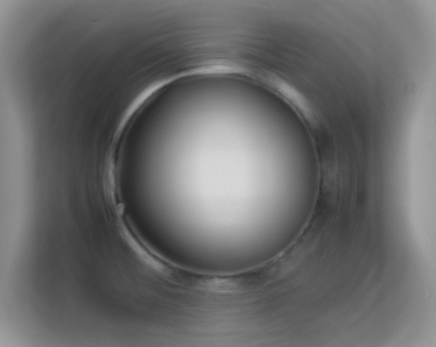 X0000113541476200909250916