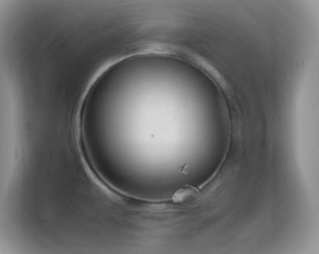 X0000113541479200909250916