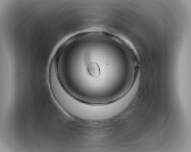 X0000113541480200909250916