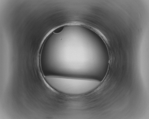 X0000113541484200909250916