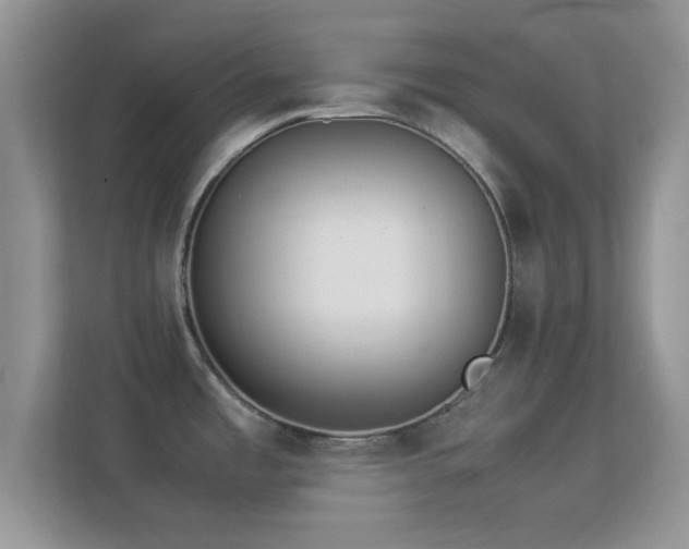 X0000113541485200909250916