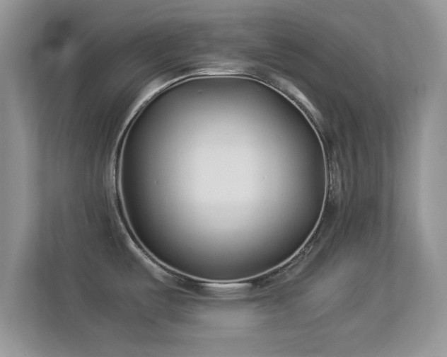 X0000113541487200909250916