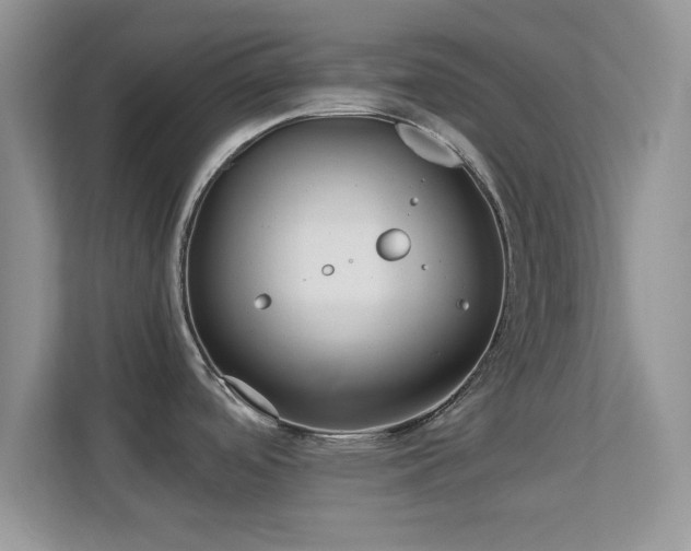 X0000113541488200909250916
