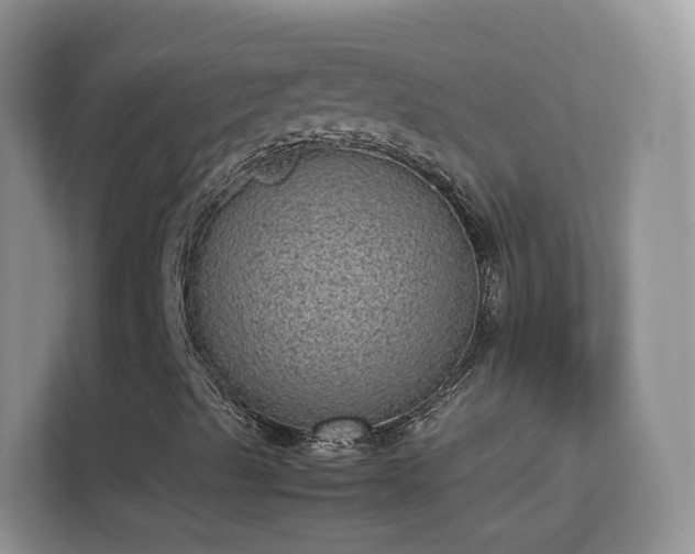 X0000113541489200909250915