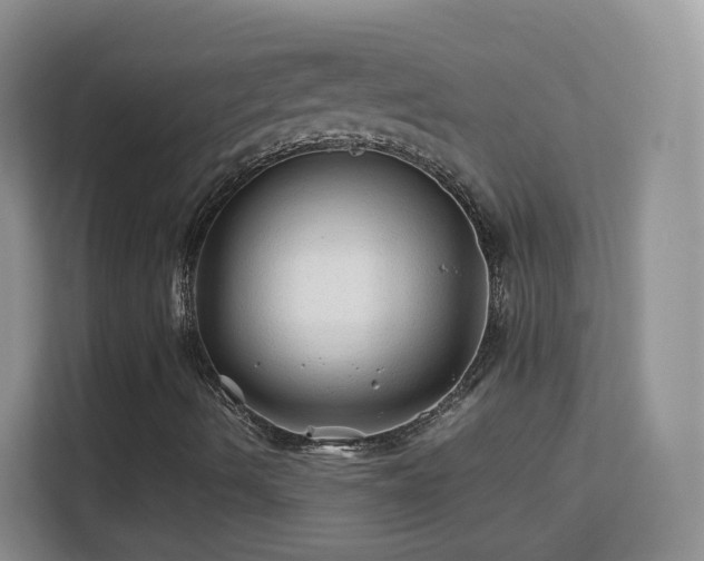 X0000113541490200909250915