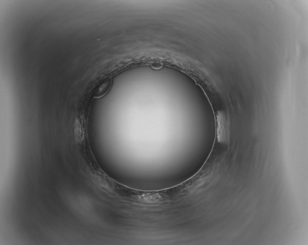 X0000113541491200909250915