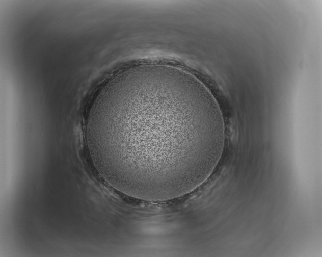 X0000113541493200909250915