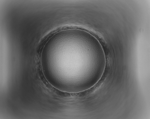 X0000113541494200909250915