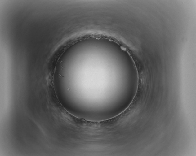 X0000113541495200909250915