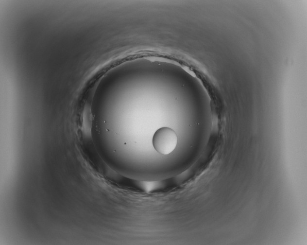 X0000113541496200909250915