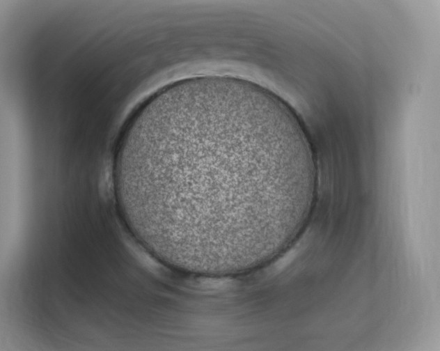 X0000113541498200909250915