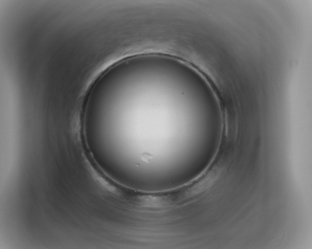 X0000113541500200909250915