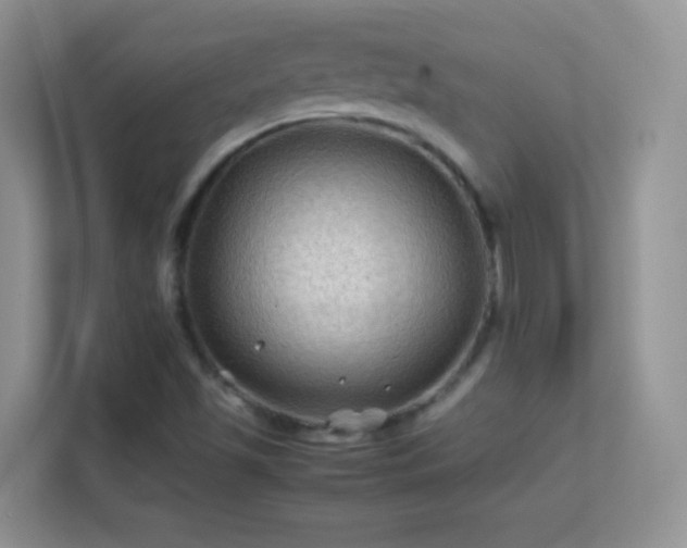 X0000113541501200909250915