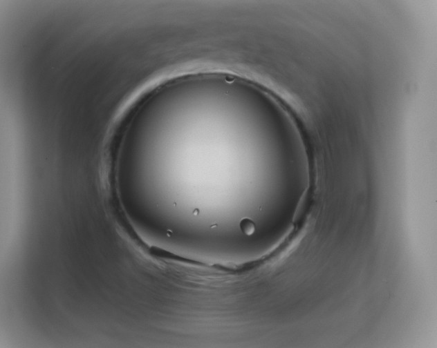 X0000113541502200909250915