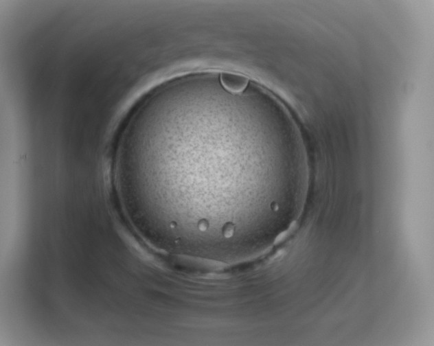 X0000113541503200909250915