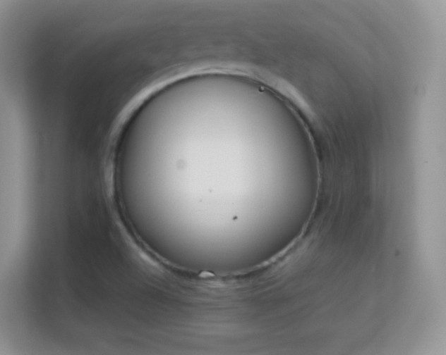 X0000113541504200909250915