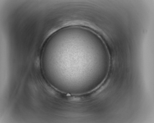 X0000113541505200909250915