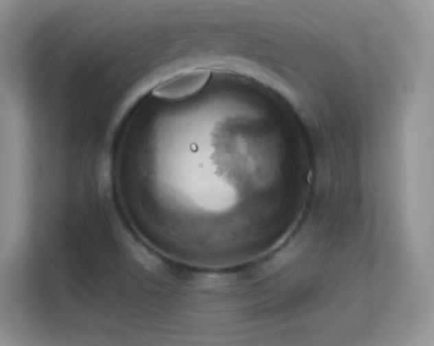 X0000113541506200909250915