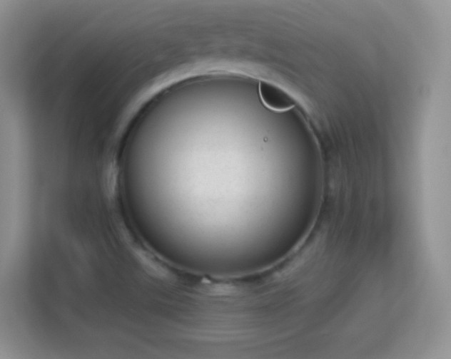 X0000113541507200909250915