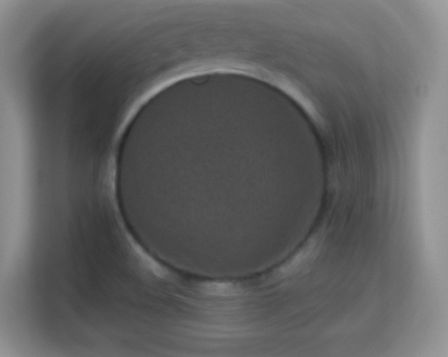 X0000113541508200909250915