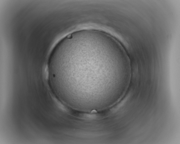 X0000113541509200909250915