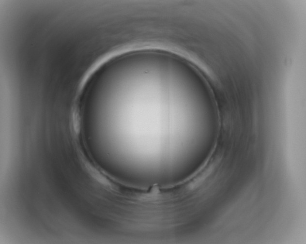 X0000113541510200909250915