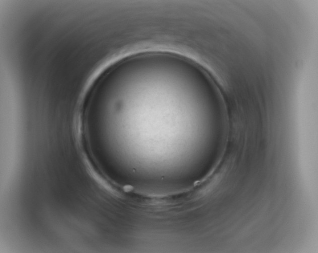 X0000113541511200909250915