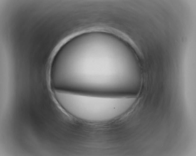 X0000113541512200909250915