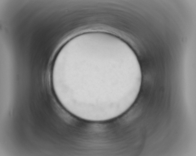 X0000113541514200909250915