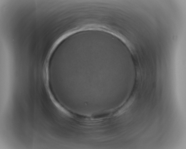 X0000113541515200909250915
