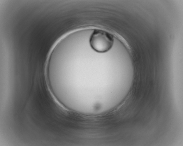 X0000113541516200909250915