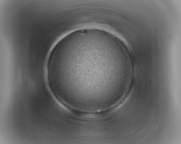 X0000113541517200909250915