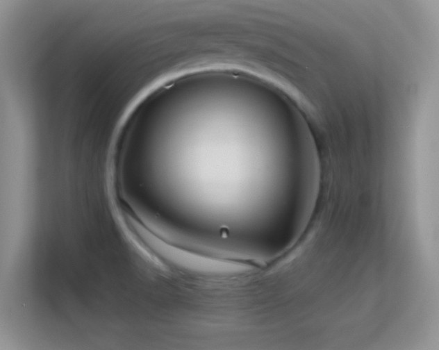 X0000113541518200909250915