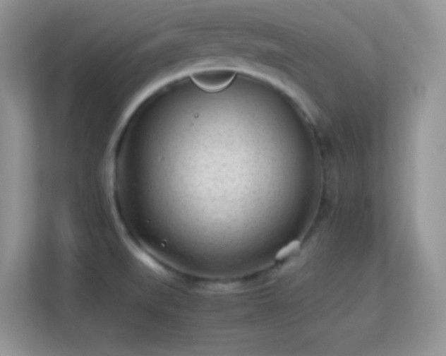 X0000113541519200909250915