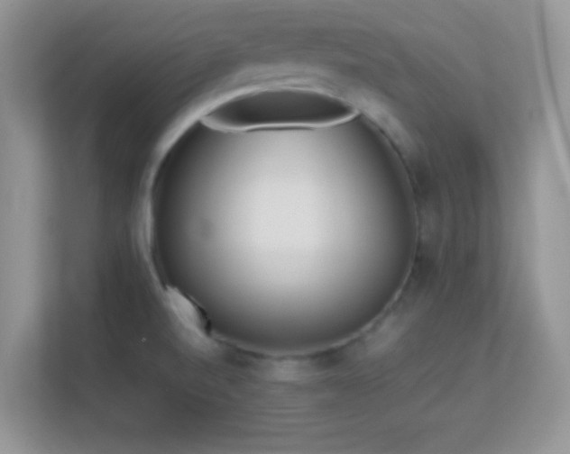 X0000113541520200909250915