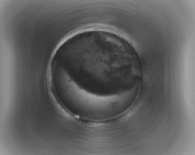 X0000113541522200909250916