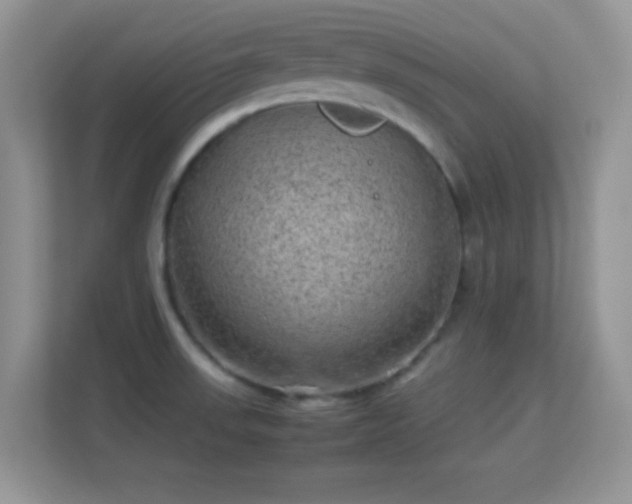 X0000113541523200909250916
