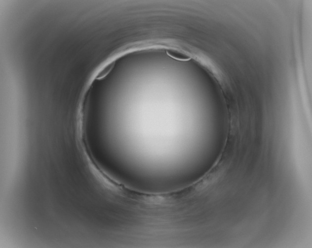 X0000113541524200909250916
