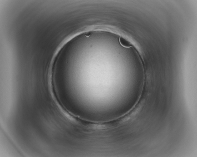 X0000113541525200909250916